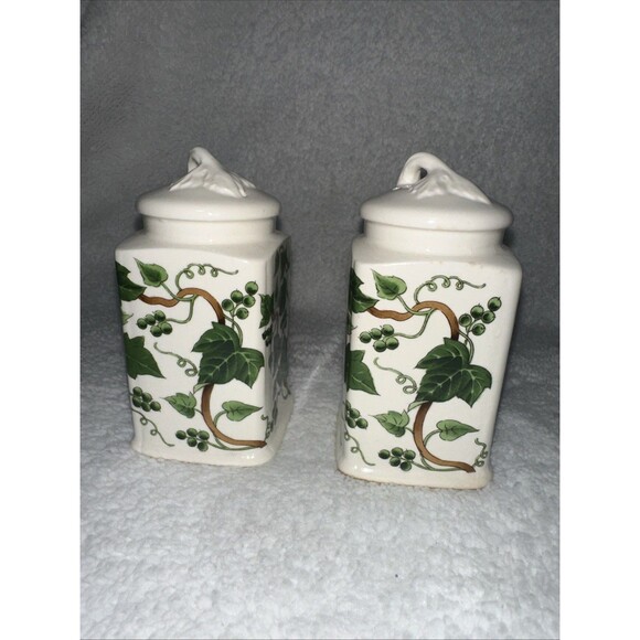 Ivy Ceramic Salt And Pepper Shaker Set Made In Japan - Picture 3 of 8